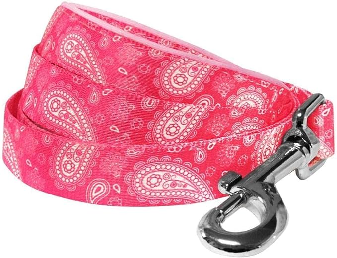 Blueberry Pet 5 Colors Paisley Flower Print Dog Leash with Soft & Comfortable Handle, 5 ft x 5/8", Pink, Small, Leashes for Dogs
