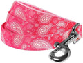 Blueberry Pet 5 Colors Paisley Flower Print Dog Leash with Soft & Comfortable Handle, 5 ft x 3/4", Pink, Medium, Leashes for Dogs