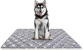 Bubble bear Dog Crate Mat - Ultra Soft, Washable & Anti-Slip Kennel Pad for Small/Medium/Large Dogs, Dark-Hued to Hide Stains (48"x30")