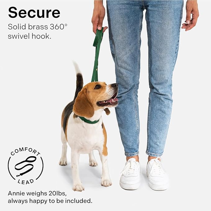 Scout Supply Classic Leather Dog Leash | Strong Heavy Duty Thick Full Grain Leather | Waterproof & Rust-Proof Brass Hardware (Green, L: 4.5 ft x 2/3 in)