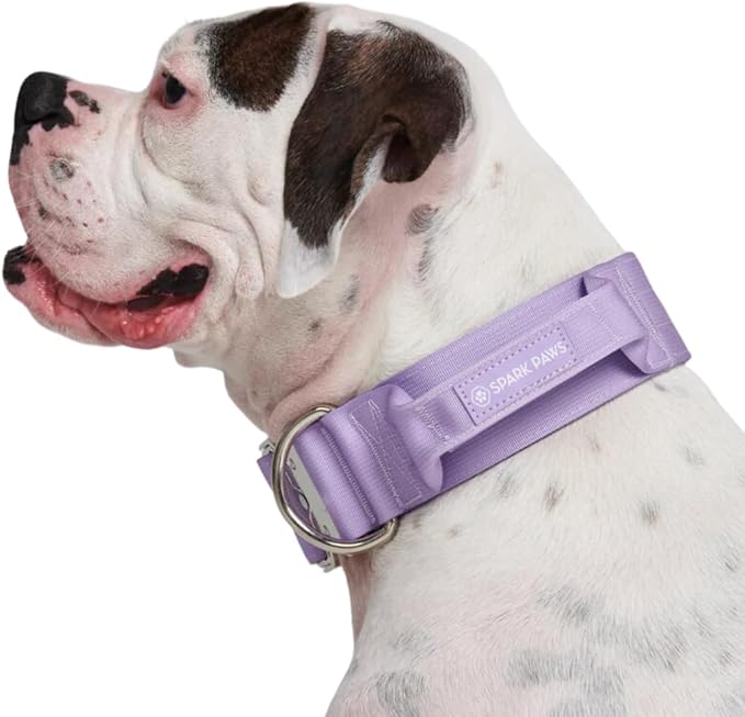 Spark Paws Tactical Dog Collar - Heavy Duty, Premium Quality, Thick and Durable for Large and Medium Dogs - Purple - M