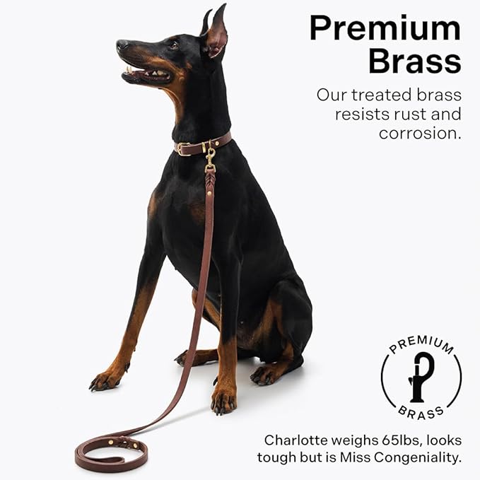 Scout Supply Classic Leather Dog Leash | Strong Heavy Duty Thick Full Grain Leather | Waterproof & Rust-Proof Brass Hardware (Dark Brown, L: 4.5 ft x 2/3 in)