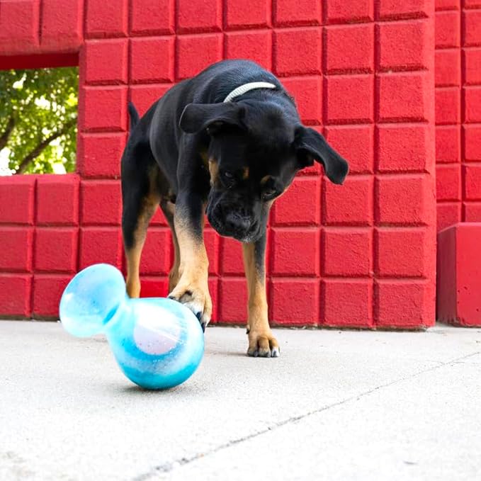KONG Rewards Tipsy Food or Treat Dispensing Dog Toy - Interactive and Mentally Stimulating Toy for Dogs (Large)