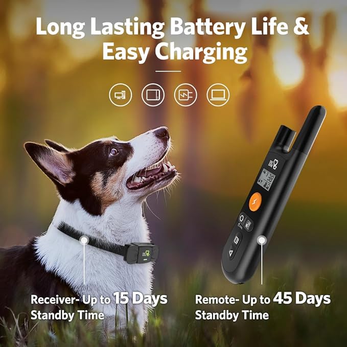 DOG CARE Shock Collar for Dogs - Dog Training Collar with Remote, 3 Training Modes, Rainproof, Security Lock, Long Remote Range, Rechargeable E-Collar for Small Medium Large Dogs All Breeds
