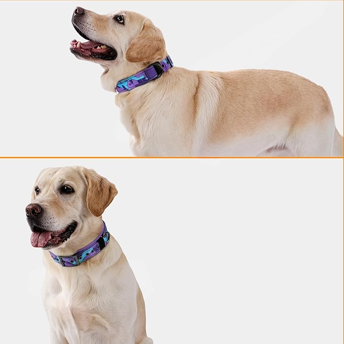 Annchwool Adjustable Dog Collar and 5 FT Leash Set with Heavy Duty Metal Buckle–Comfortable Lining Collar & Dual-Handles for Medium Large Dogs Walking,Car Travel(Camo Purple Set,L:17''-23'')