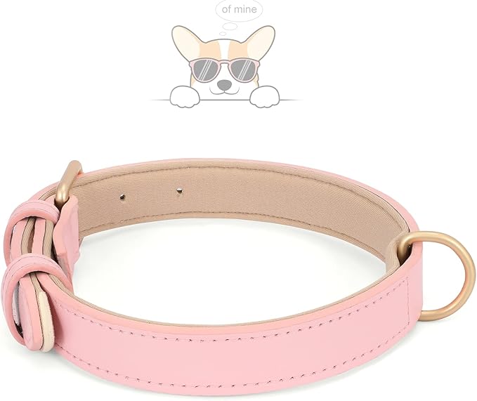 WHIPPY Leather Dog Collar for Small Dog Adjustable Soft Breathable Leather Padded Puppy Collar with Alloy Buckle Heavy Duty Waterproof Classic Dog Pet Collar,Pink,XS