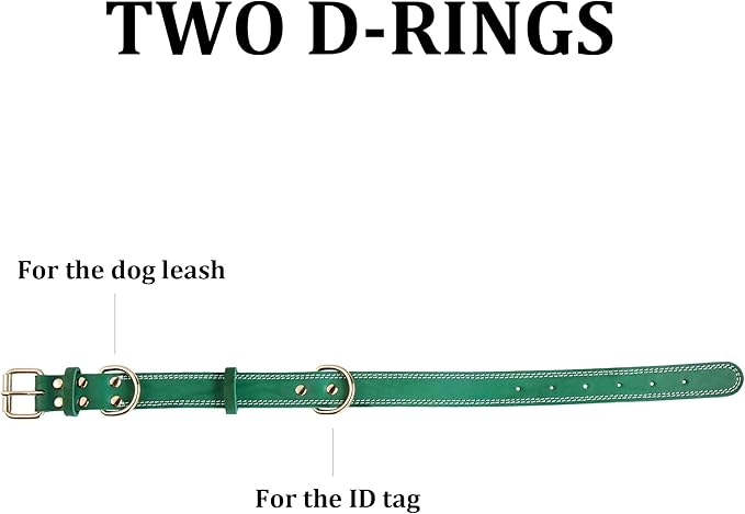 Dog Collar, Genuine Leather Heavy Duty Dog Collar for Small, Medium, Large and Extra Large Dog (M: 1" Wide for 15.2"-19.2" Neck, Dual Stitch - Green)