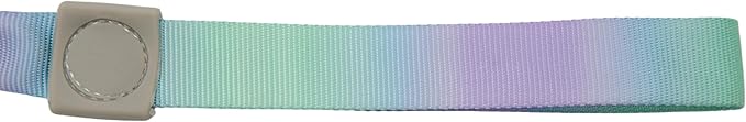 Dual Handles Bungee Dog Leash, Ombré Color Shock-Absorbing Dog Leash with 360° Swivel Clasp, for Small to Medium Dogs (4 – 5.5 ft) (Violet-Green Ombré)