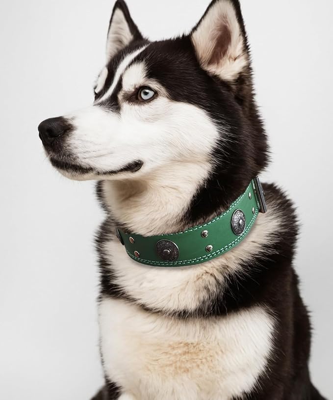 Leather Dog Collar, 2 inches Wide Heavy Duty Genuine Leather Collars, Handmade, Soft, and Luxury, Eye-catching Best Choice for Large and Medium Breed Dogs, Green 21-25 inches