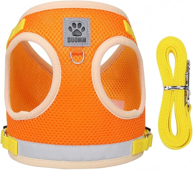 Dog Harness and Leash Set-No Pull No Choke Step-in Pet Harness for All Weather Lightweight Adjustable Cat Harness Breathable Soft Mesh Puppy Vest with Hook & Loop Fastener Buckles D-Rings-Orange-S