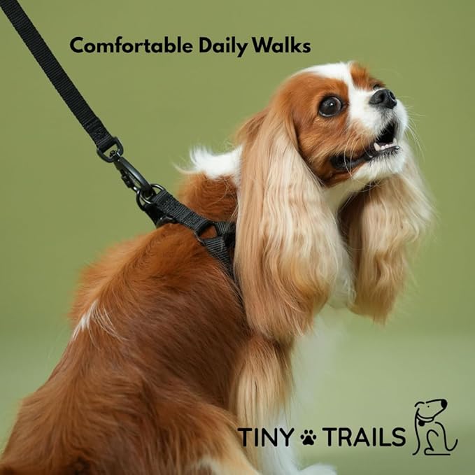 Step-in Dog Harness for Medium Sized Breeds – Adjustable No-Pull Soft Vest, Secure, Lightweight & Comfortable Premium Nylon, Black (Medium – 18"-26" Chest Girth)