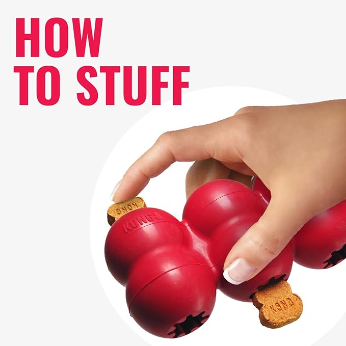 KONG Goodie Ribbon - Stuffable Natural Rubber Dog Toy - with Four Fillable Goodie Grippers for Enrichment Play - Bone-Shaped Chew Toy - for Small Dogs