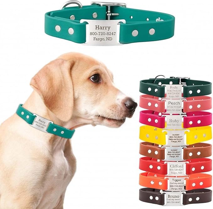 dogIDs Personalized Dog Collar – ScruffTag Custom Waterproof Biothane Dog Collar with Laser-Engraved Name, Durable & Odor-Resistant – USA Made | Teal, 1 in x 18 in (Fits Neck Sizes 16-20 in)