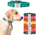 dogIDs ScruffTag Personalized Waterproof Dog Collar, Made in USA - Soft Grip Biothane, Adjustable,Odor Resistant, Custom Laser Engraved Name -Teal, 5/8 in x 12 in (Fits Neck Sizes 11-13 in)