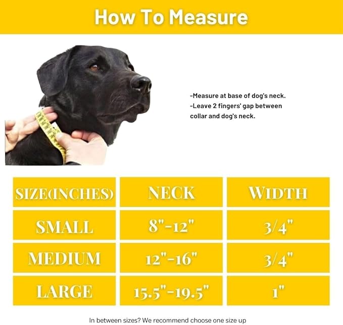 Waterproof Dog Collar, Soft Comfortable Pet Collars, Adjustable Odor Proof Heavy Duty Dog Collars Easy to Clean for Large, Medium Small Dogs by Bee N Buu (Yellow, Small (length8-12, Width 3/4"))