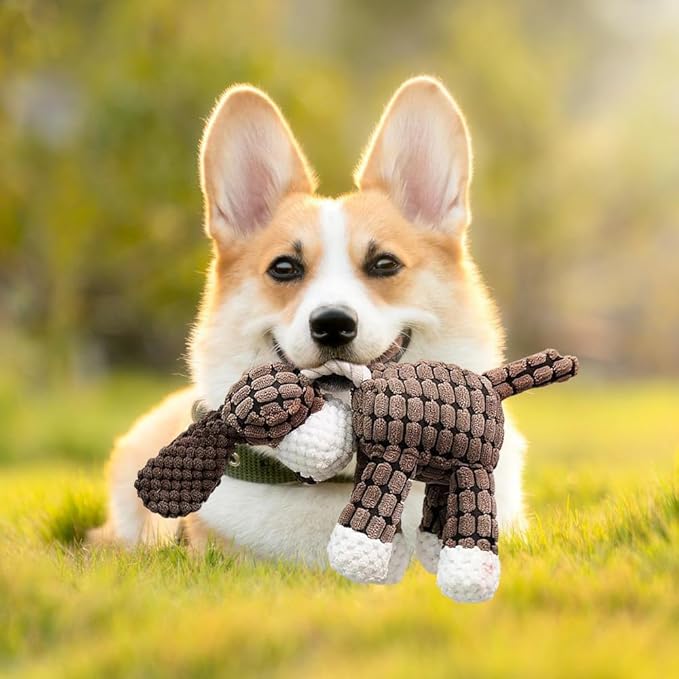 Upgrade Bite Buddy Chew Toy for Dogs, 2025 New Petsboro Bitebuddy Dog Toy Indestructible Stuffed Animals for Dogs, Cute Soft Resistant Squeaky Dog Toys for Heavy Chewers (#A2)