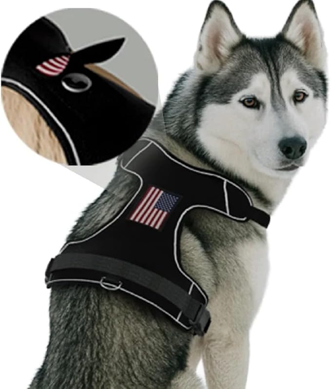 PawPatch Track Dog Harness, X-Large – No Pull Adjustable Fit Pet Vest, Breathable Soft Padded with 2 Leash Clips, Reflective, Easy On/Off Design with Control Handle for Walking, Training, Hiking