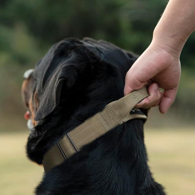 TSPRO Premium Dog Collars Tactical Dog Collar with Handle and Heavy Duty Quick-Release Metal Buckle Durable Thick and Adjustable for Medium to Large Dogs (Camo Pink M)