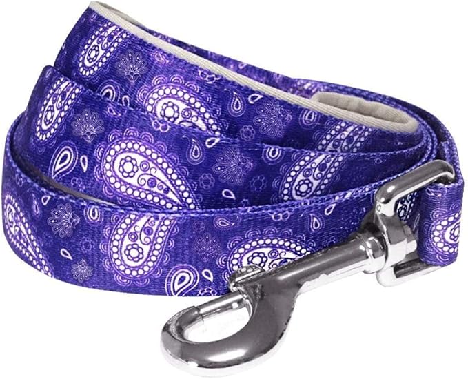 Blueberry Pet 5 Colors Paisley Flower Print Dog Leash with Soft & Comfortable Handle, 5 ft x 3/4", Violet, Medium, Leashes for Dogs