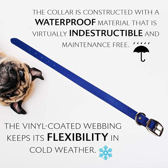 Regal Dog Products Small Blue Waterproof Dog Collars with Custom Engraved Name Plate | Vinyl Coated, Anti, Easy to Clean Personalized Biothane Dog Collar - Other Sizes for Medium & Large Dogs