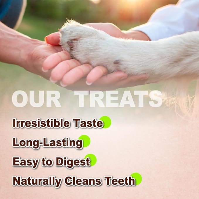 A Freschi srl Turkey Tendons for Dogs, USA-Sourced, Healthy Dog Treats, Rawhide-Free Puppy Chews, Long Lasting, All Natural, Hypoallergenic Dog Treats for Large Breeds, 10 oz Pack Rope (L)