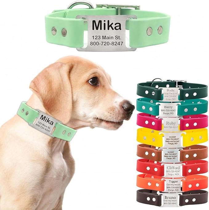 dogIDs Personalized Dog Collar – ScruffTag Custom Waterproof Biothane Dog Collar with Laser-Engraved Name, Durable & Odor-Resistant – USA Made | Mint, 1 in x 18 in (Fits Neck Sizes 16-20 in)