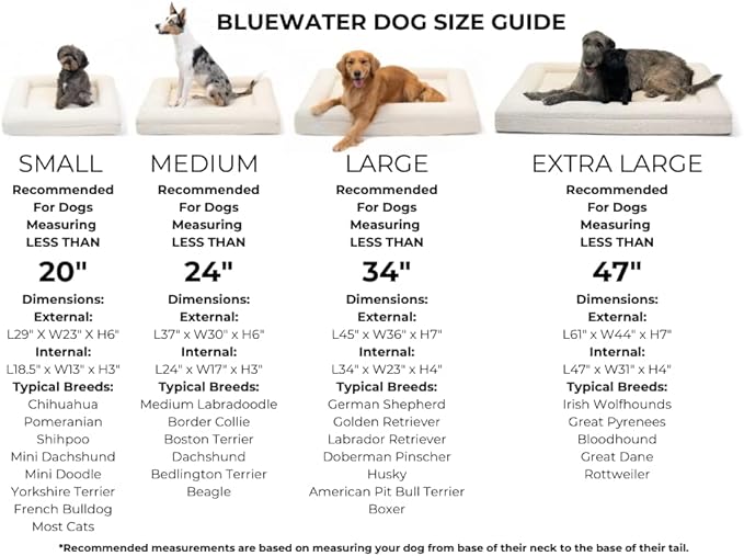 Luxury Boucle Orthopedic Memory Foam Dog Bed with Waterproof Liner and Machine Washable Cover with YKK Zippers (Medium, 37" L x 30" W x 6" Th, Ocean Blue)