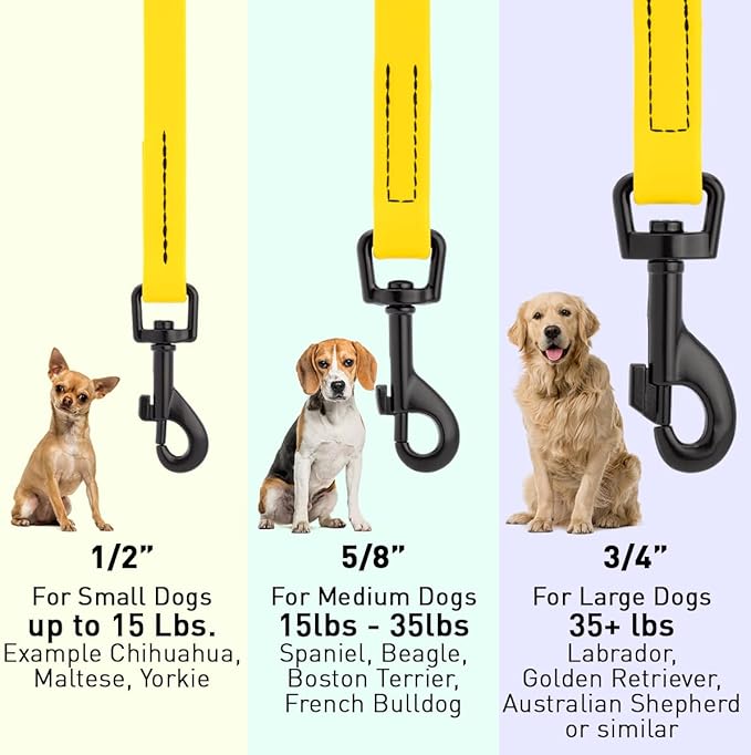 Dogline Biothane Waterproof 4ft Dog Leash Strong Coated Nylon Webbing with Black Hardware Odor-Proof Easy to Clean High Performance for Small or Large Dogs Made in USA 4ft Lead, Lemon Yellow