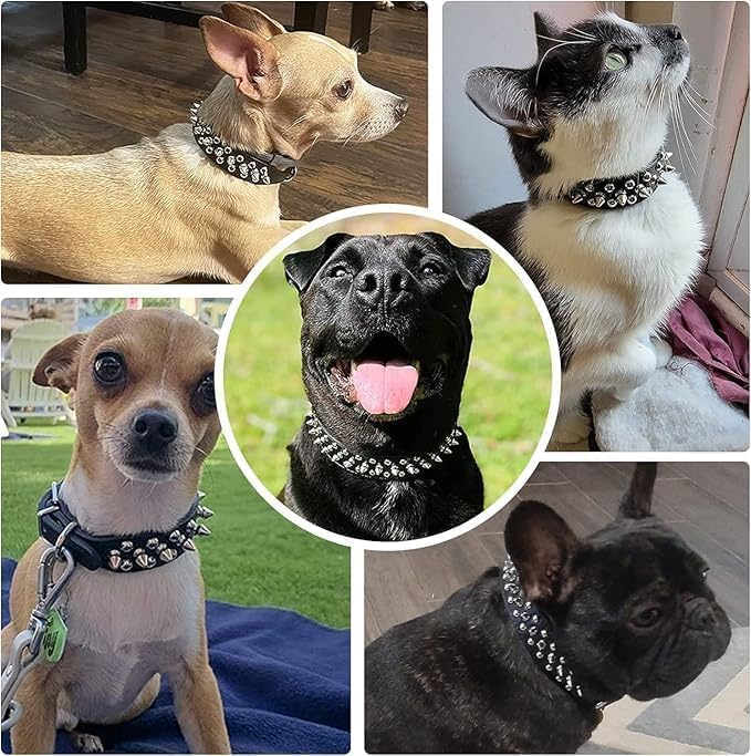 Hot Pink Spiked Collar for Dogs, Girl's Spike Puppy Collars Leather Mushrooms Rivet Female Studded Cat Collars Adjustable for Kitten XXS XS S Medium Large Dogs, X-Small
