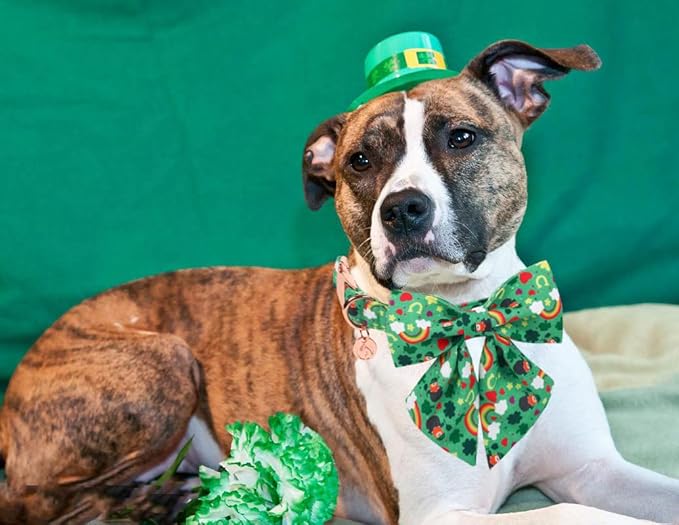 DOGWONG Green Lucky Clover Shamrock Dog Collar with Bowtie, Soft Adjustable St. Patrick's Day Lucky Charm Puppy Collar for Small Medium Large Dog