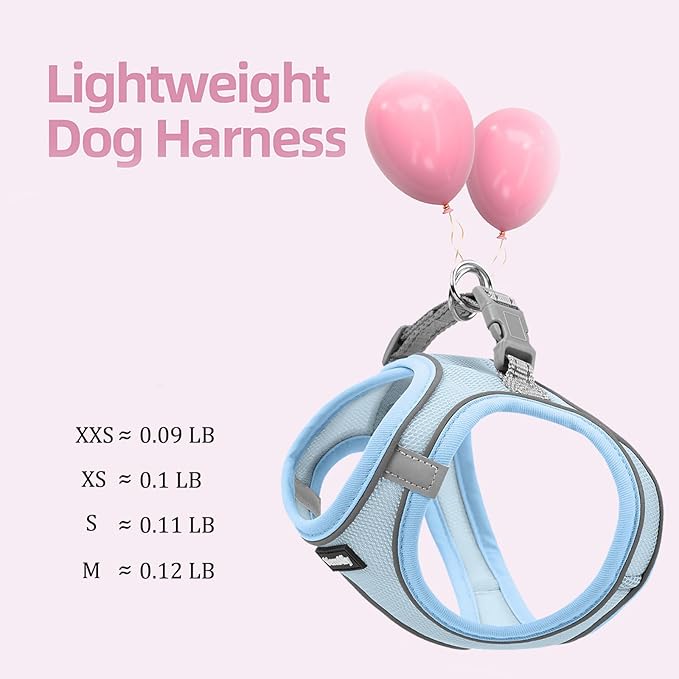 Sparkly Dog Harness Small Sized and Leash Set for Small Dogs Cats,Blue XS Puppy Harness, Step in Soft Dog Reflective Vest, Breathable Mesh Pet Harness. (Blue, XS)