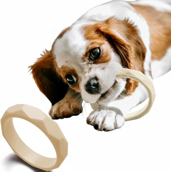 Puppy Teething Rings, Bracelet Food Grade Silicone Chew Toys for Small Dogs and Medium Dog, Puppy Nipping Solution Toys, Chew Toys for Puppies 0-6 Months - Creme Brûlée