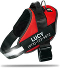 Personalized No-Pull Dog Harness with Name Patch, Adjustable, Reflective, Padded, Heavy Duty Pet Vest to Prevent Tugging, Pulling, or Choking, Training and Walking, Red, M