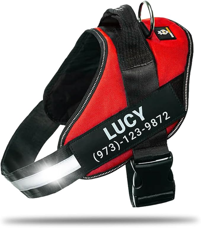 Personalized No-Pull Dog Harness with Name Patch, Adjustable, Reflective, Padded, Heavy Duty Pet Vest to Prevent Tugging, Pulling, or Choking, Training and Walking, Red, M