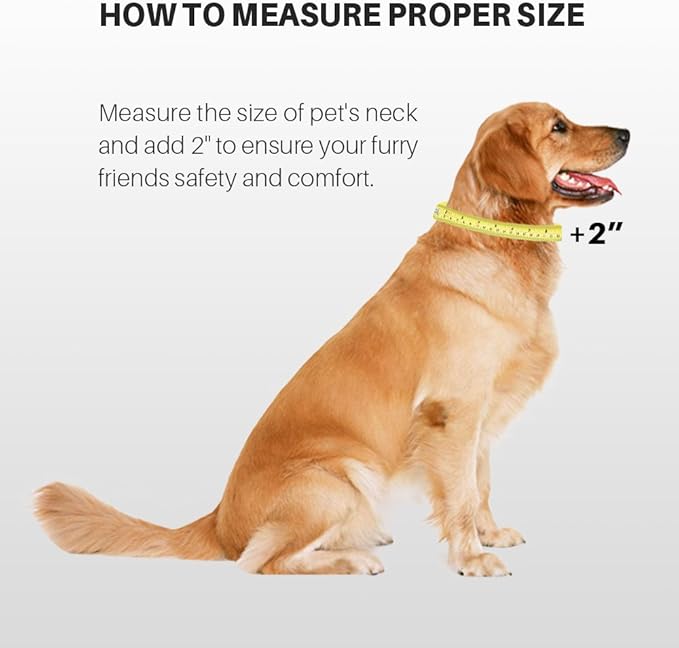 Hyhug Medium Dog Collar, Green:Heavy-Duty Quick-Release Nylon Buckle, Adjustable & Durable, Cute Dog Collar (Medium, Lime Green)