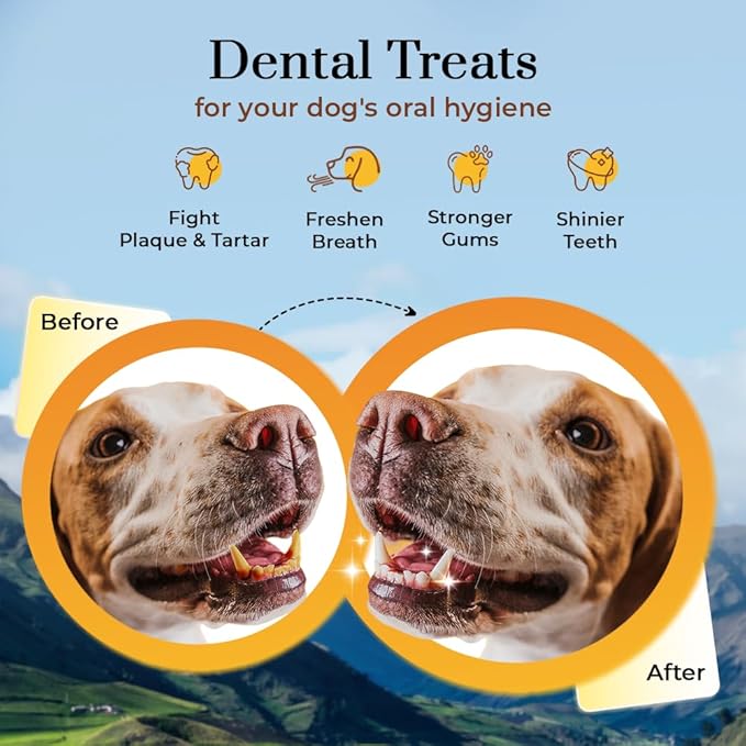 Dogsee Himalayan Yak Cheese Dog Chews with Turmeric/Curcumin (Medium - 2 Chews) | All Natural Long Lasting | Anti-inflammatory | Odorless High Protein Chew | Dog Treats for Active Chewers