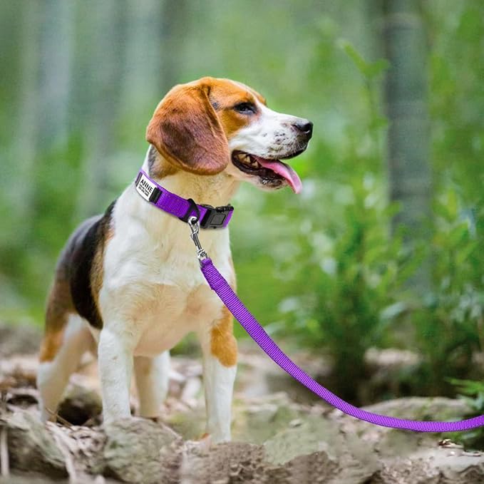 Joytale Personalized Dog Collars with Engraved Name Plate, Silent No Jingle Custom Nylon Collar with Fixed ID Tag, Reflective Soft Neoprene Padded Breathable for Medium Dogs, Purple