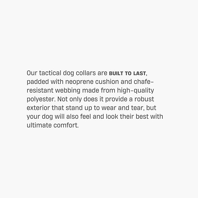 DF Co. Tactical Dog Collar | Comfortable & Secure with Quick Release Clip Buckle and Heavy Duty D-Ring | Soft Padded Neoprene, Chafe Resistant, Night-Time Visibility | Black, Size M