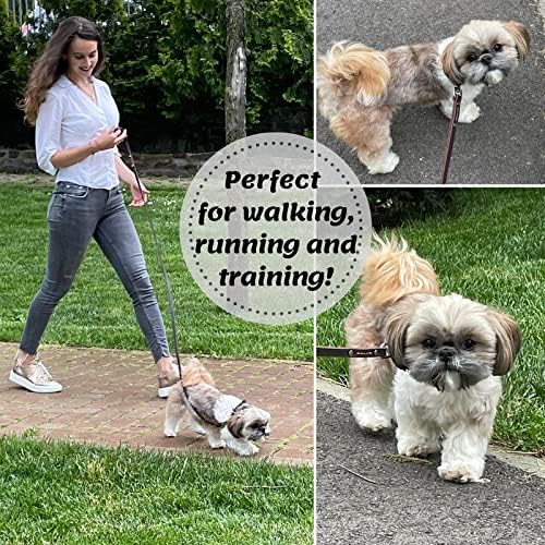 ADITYNA - Premium Leather Dog Leash - 6 ft, Heavy-Duty, Soft & Strong for Small/Medium Dogs - Perfect for Walking, Training, Hiking, and Running (Small: 6 ft x 1/2", Brown)
