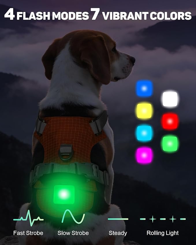 TagME No Pull Dog Harness with 2 Leash Clips,Lightweight & Visible for All-Day Walking,No Choke Pet Vest Includes AirTag Holder for Medium Dogs,Flare Orange