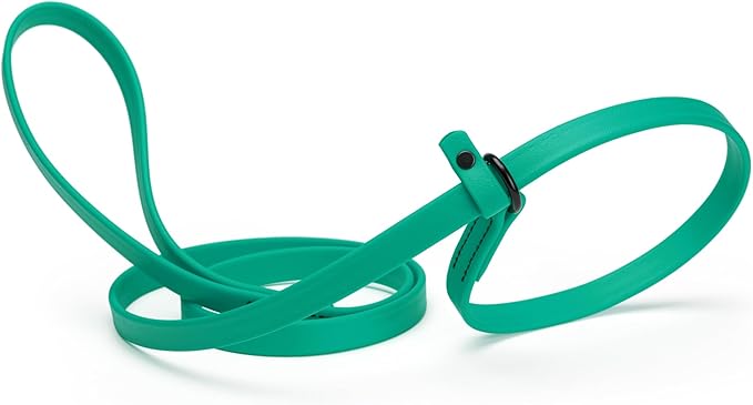 Dogline Biothane Slip Dog Leash - for Small, Medium and Large Dogs - Odor Free Slip Lead, Heavy Duty and Durable Material Kennel Lead - Teal - 7ft L x 5/8in W