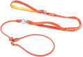 Slip Lead Dog Leash with Double Handles | Reflective Dog Training Lead with 360° Swivel Anti-Tangle | Heavy-Duty Leash and Collar for Large Medium and Small Dogs No-Pull Walking (Orange, 5.5FT)