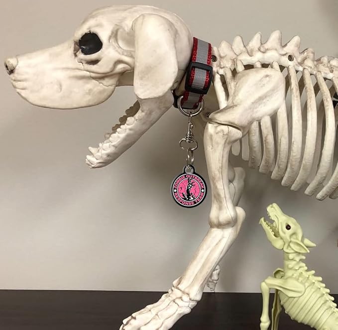 Dog Tag Art Halloween Zombie Custom Pet ID Tag for Dogs and Cats, Personalized Dog Tag with Customized Identification Information, Zombie Outbreak Response Team, Large (1.25" Diameter)