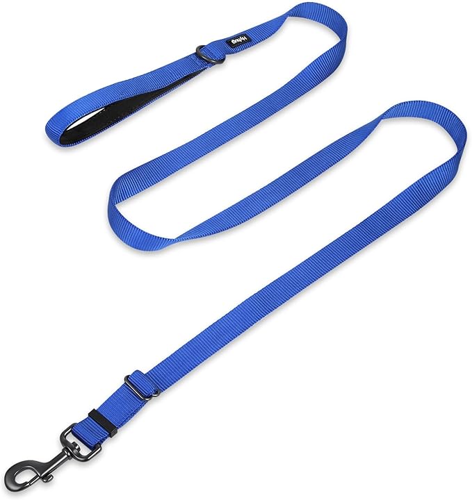 Hyhug Pets Premium Upgraded Adjustable Between 4 Feet and 6 Feet Leash with Sturdy Nylon and Super Soft Neoprene Lined Handle for Small Medium Large Dogs Lead