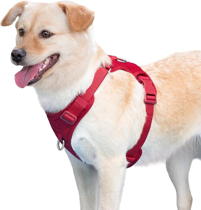 No Pull Dog Harness for Small Medium Large Dogs - Adjustable 2 Layer Mesh Dog Vest with Dual Clip, Escape Proof, Quick Release, Lightweight Breathable Mesh for Walking Hiking (Burgundy Red,S)