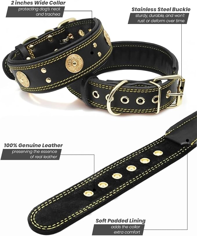 Leather Dog Collar, 2 inches Wide Heavy Duty Genuine Leather Collars, Handmade, Soft, and Luxury, Eye-catching Best Choice for Large and Medium Breed Dogs, Black-Gold 21-25 inches