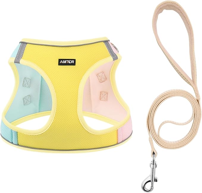 AMTOR Small Dog Harness with Leash Set, No Escape Easy Walk Puppy Harnesses for Training Walking, Step-in Reflective Soft Dogs Vest for XS S Medium Extra-Small Large Sized Dog(XL,Yellow)