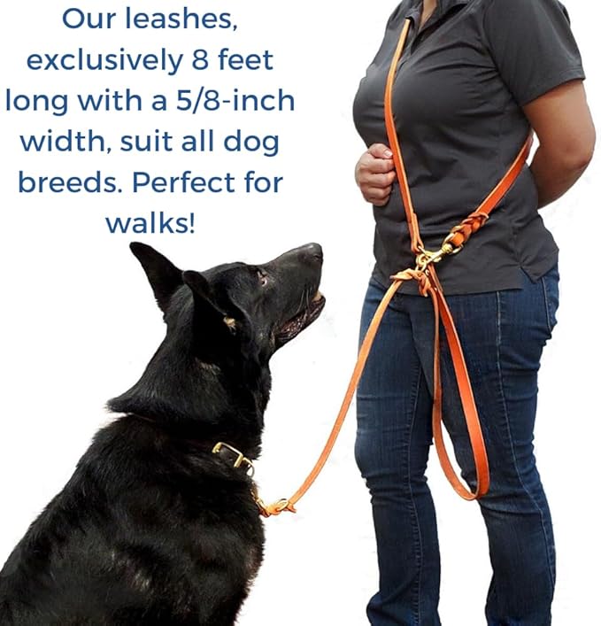 8 FT Multi-Function Leather Dog Leash, Genuine Leather Hands-Free Training Lead for Small Medium Large Dogs, Adjustable Long Leash for Walking, Hiking, Obedience Control (Tan, 8 Ft)