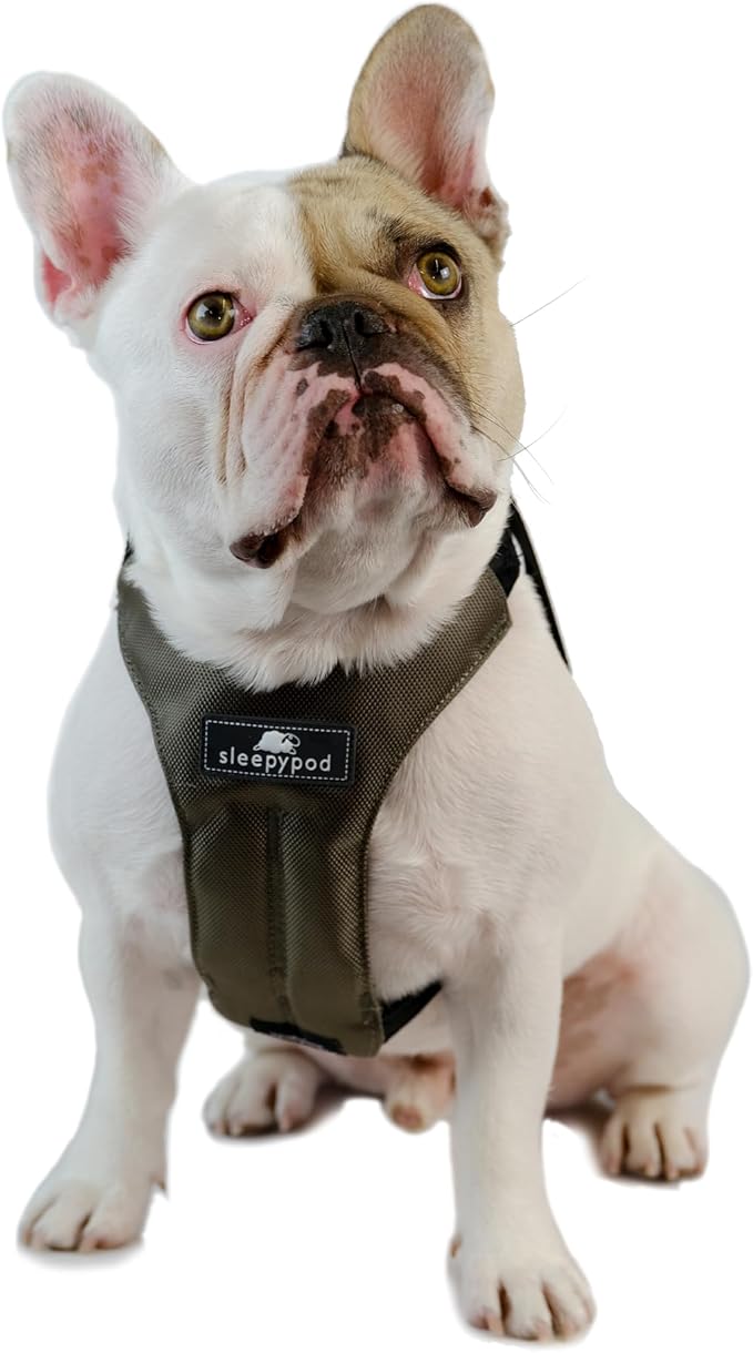 Clickit Sport Plus - Crash-Tested and Safety Certified Car Seat Belt Harness for Dogs (Medium, Olive Green)