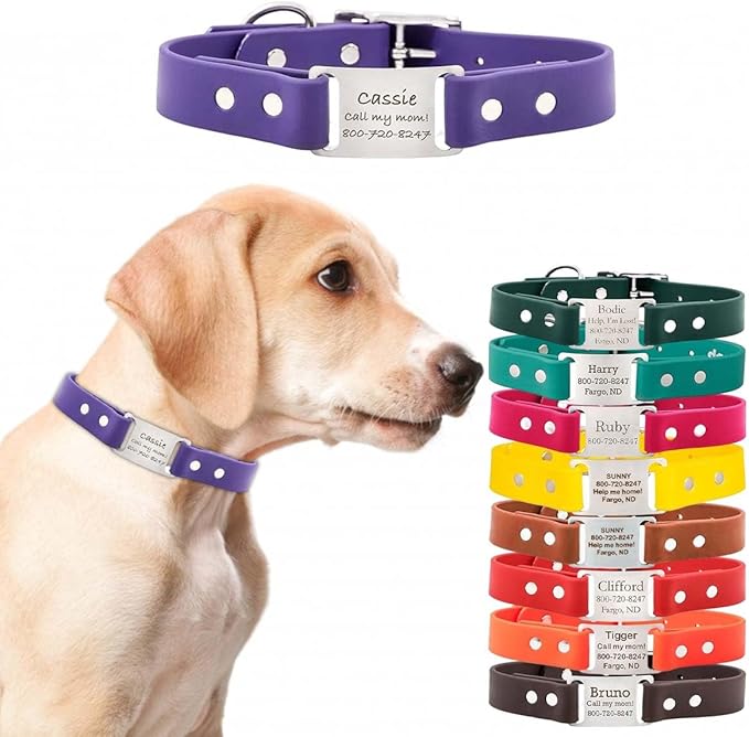 dogIDs Personalized Dog Collar – ScruffTag Custom Waterproof Biothane Dog Collar with Laser-Engraved Name, Durable & Odor-Resistant – USA Made | Purple, 5/8 in x 12 in (Fits Neck Sizes 11-13 in)